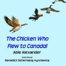 Supporting the A52AA Effort Without Donating!