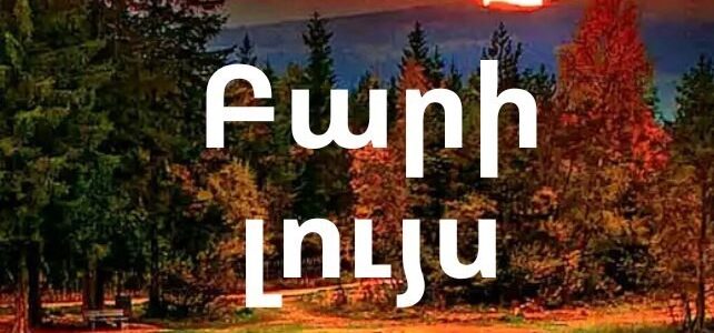 𝑩𝒂𝒓𝒓𝒚 𝑳𝒆𝒘𝒊𝒔! 𝑩𝒂𝒓𝒓𝒚 𝑭𝒊𝒔𝒉𝒆𝒓!